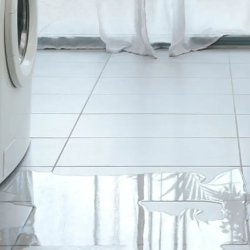 Appliance Leak Cleanup in Pana, IL
