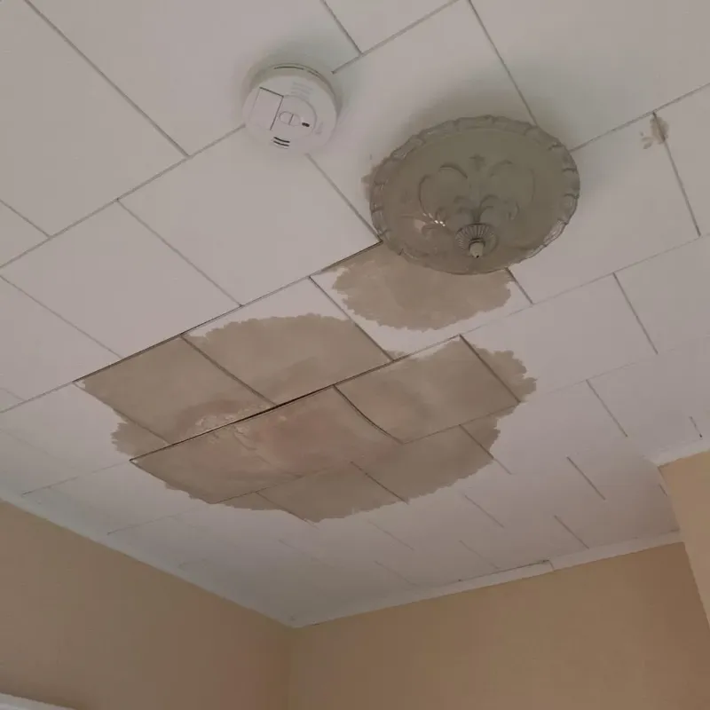 Ceiling Water Damage Repair in Pana, IL