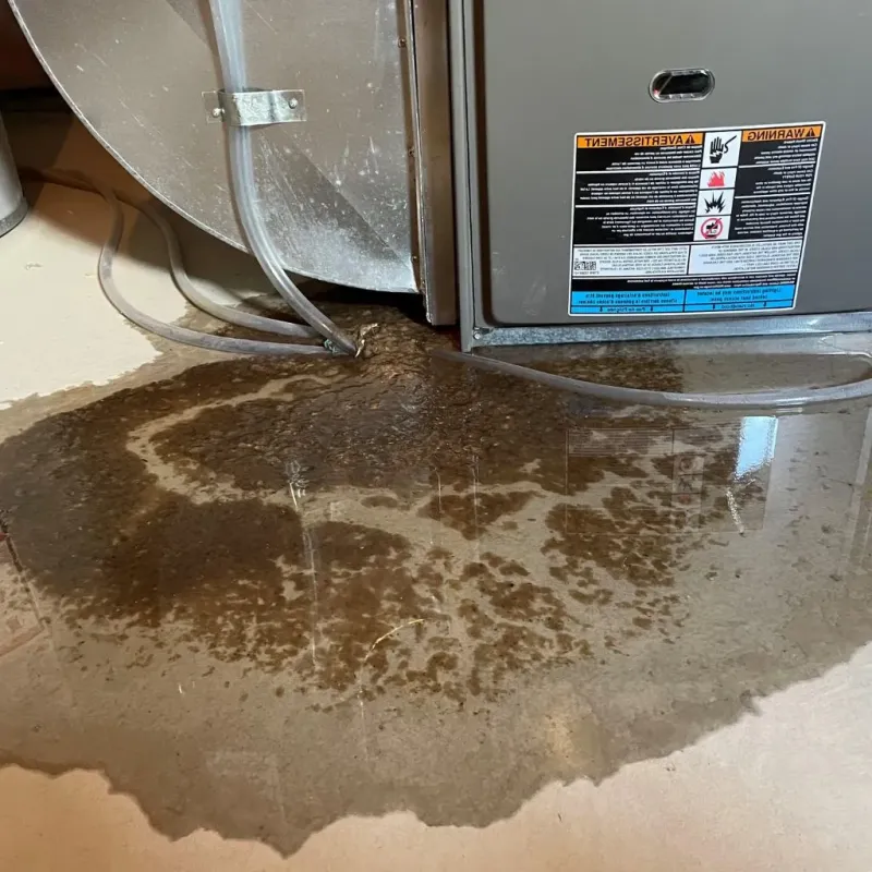 Pipe Burst and Leak Restoration in Pana, IL