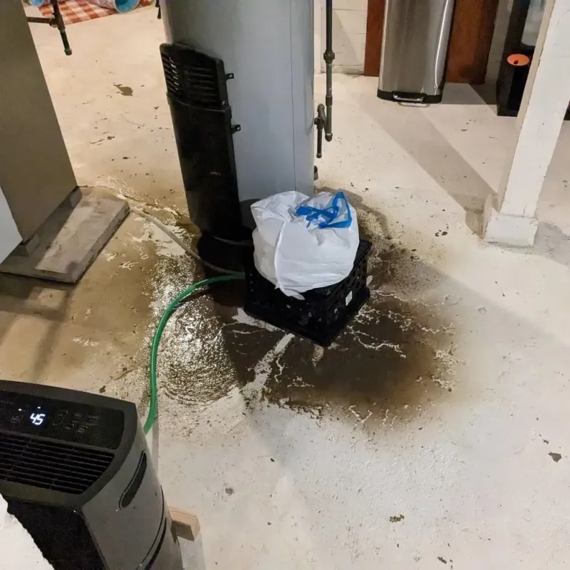 Sewage Backup Cleanup Service in Pana, IL